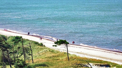 Ein Spaziergang am Strand ist nie langweilig Ein Spaziergang am Strand ist nie langweilig