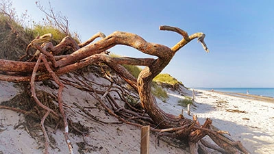 Der Weststrand - natürlich schön Der Weststrand - natürlich schön